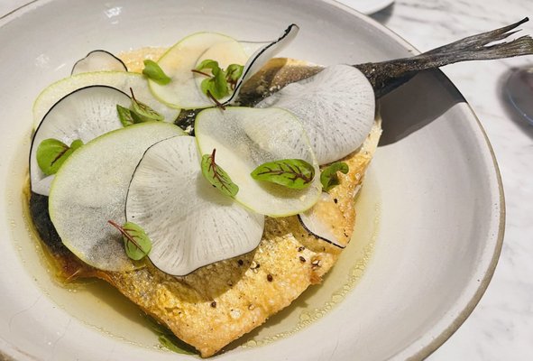 Brine Oyster • Crudo • Chops by null