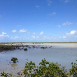 Florida Keys Wildlife and Environmental Area