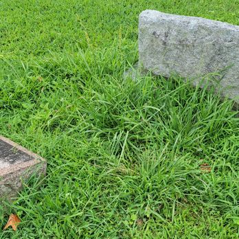 Eglington Cemetery - Funeral Services & Cemeteries Near Me - Clarksboro, New Jersey