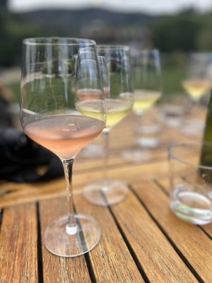 Folktale Winery & Vineyards by null