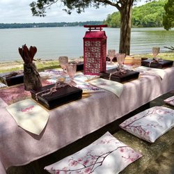 Shutes Branch Recreation Area - Our Japanese Sakura Picnic at Shutes Branch Recreation Area.