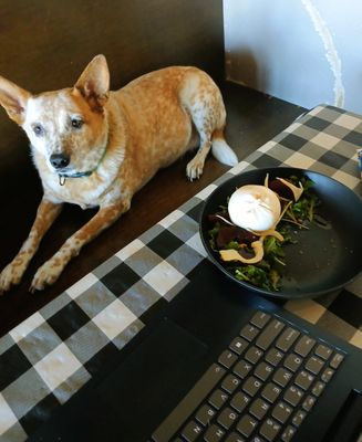 Pizzeria Leopold by null