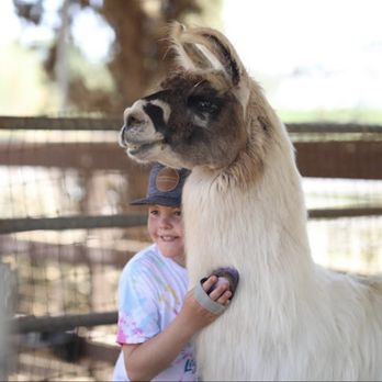 Sugar Sweet Farm - Attraction Farms Near Me