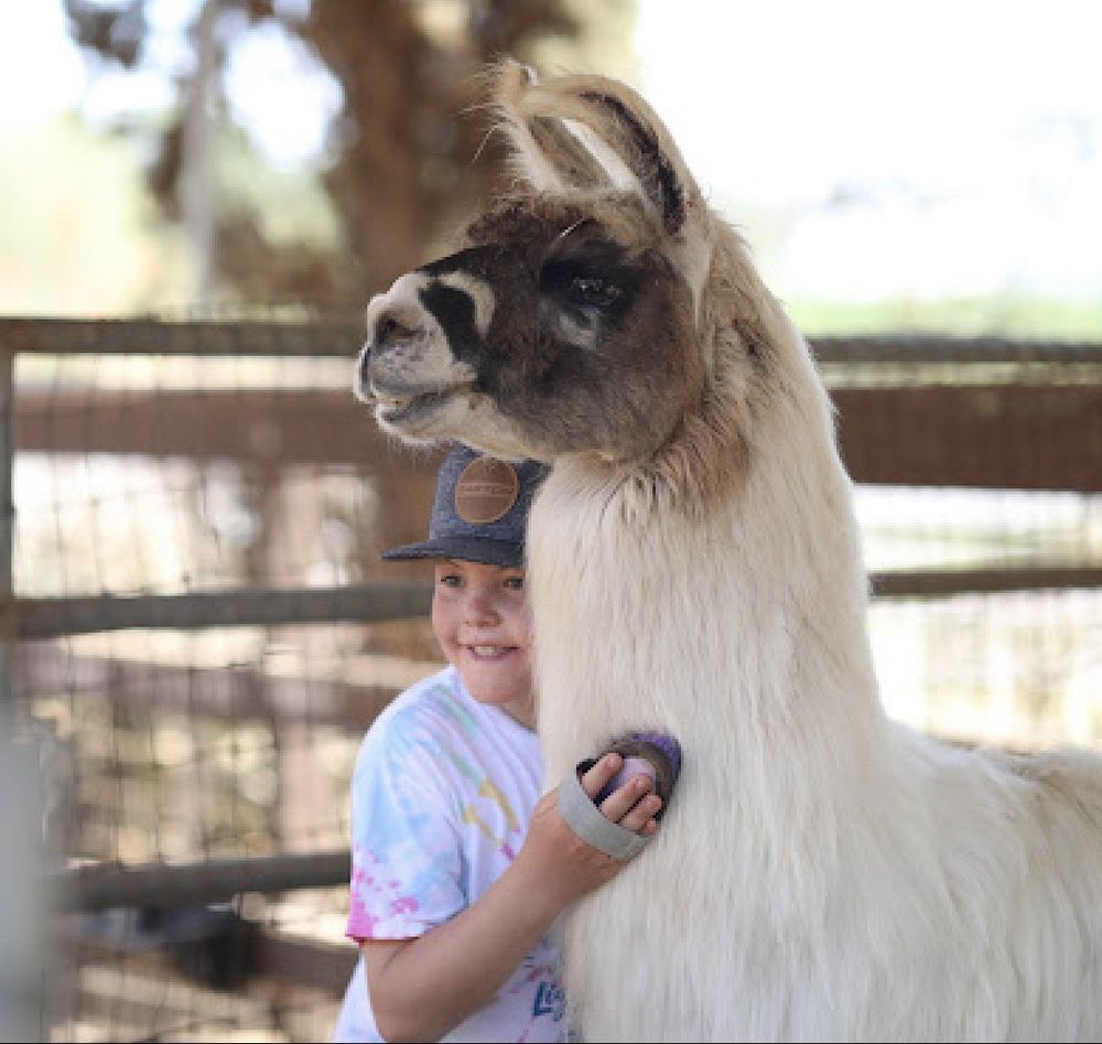 SUGAR SWEET FARM Updated August 2024 413 Photos & 104 Reviews