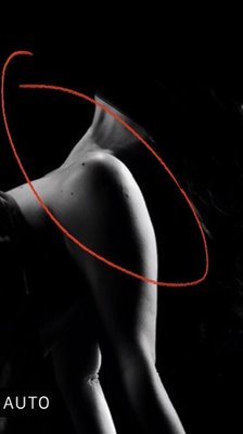 Nuovo Artistic Photography Vancouver by null