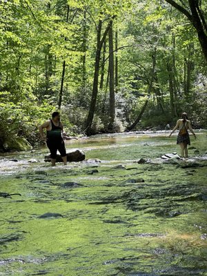 Looking Glass Falls by null