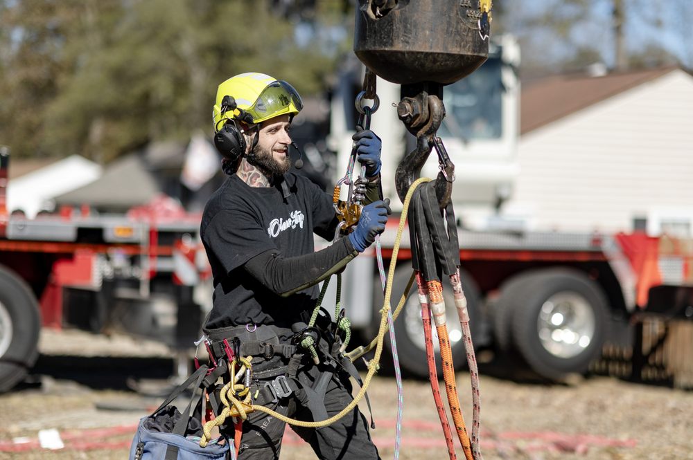 Orleans County Tree Service - tree service in Chester , VA