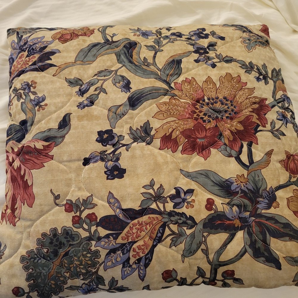 Blue Heron Inn - This pillow was on the bed. It appeared to have never been cleaned. - Hotels Near Me - Laporte, Indiana Blue Heron Inn - This pillow was on the bed. It appeared to have never been cleaned. - Hotels Near Me - Laporte, Indiana