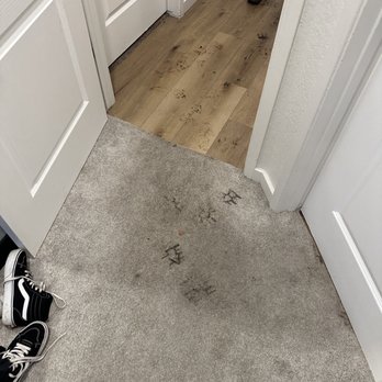 Roto-Rooter Plumbing & Water Cleanup - Feces on our carpet - Plumbing Near Me - Modesto, California Roto-Rooter Plumbing & Water Cleanup - Feces on our carpet - Plumbing Near Me - Modesto, California