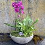 Photo of Fiori Floral Design
