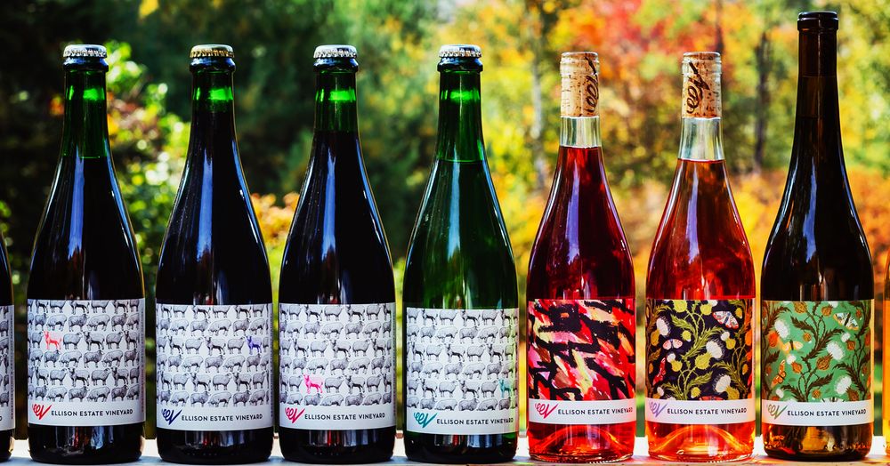 Ellison Estate Vineyard - vineyard in Stowe, VT