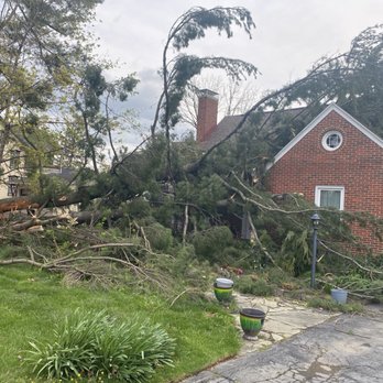 3 Clovers Roofing & Construction - Tree damage - Roofing Near Me - Mercersburg, Pennsylvania 3 Clovers Roofing & Construction - Tree damage - Roofing Near Me - Mercersburg, Pennsylvania
