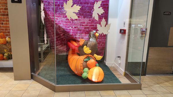 Smith Haven Mall by null