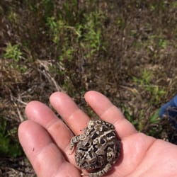 Okie Nature Wildlife Preserve