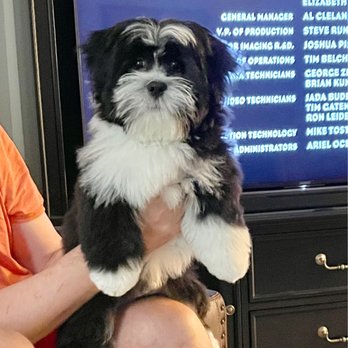 Kriser's Natural Pet - Pet Stores Near Me - Wilmette, Illinois