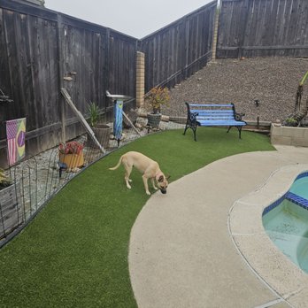 US Turf - Our puppy loves it too! - Artificial Turf Near Me - San Diego, California US Turf - Our puppy loves it too! - Artificial Turf Near Me - San Diego, California