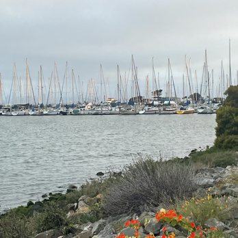 DoubleTree by Hilton - Berkeley - View from our walk out room. - Hotels Near Me - Berkeley, California