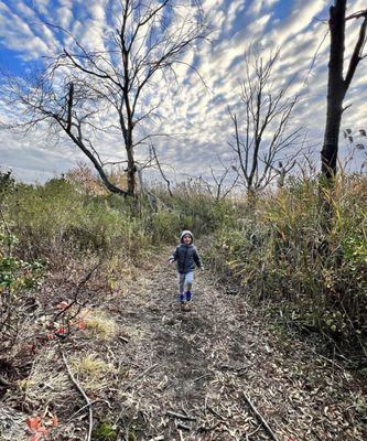 Jamaica Bay Wildlife Refuge by null