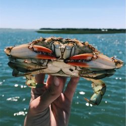 Outerbanks Seafood - Crab.