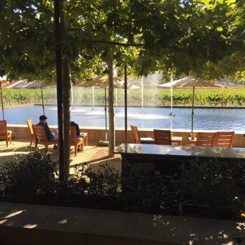 Alpha Omega - View of the waterfall - Wineries Near Me - Saint Helena, California