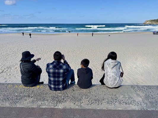 Bondi Beach by null