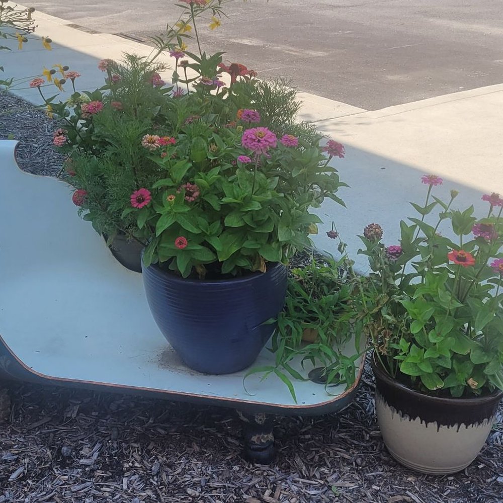 Borage - New use of a Garden Tub - Breakfast & Brunch Near Me - Indianapolis, Indiana