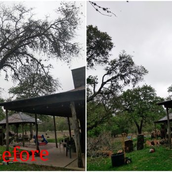 Native Arbor Care - Tree Services Near Me - San Antonio, Texas Native Arbor Care - Tree Services Near Me - San Antonio, Texas
