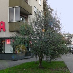 Falkert-Apotheke