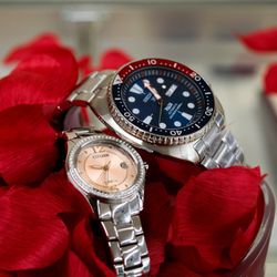 user provided Michigan Jewelers photo