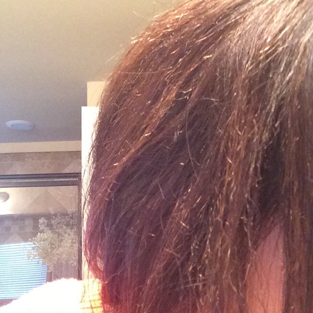 J Hair Studio - Fried hair, compliments of KYONG! Worst stylist ever!!! - Hair Salons Near Me - Greenville, South Carolina J Hair Studio - Fried hair, compliments of KYONG! Worst stylist ever!!! - Hair Salons Near Me - Greenville, South Carolina
