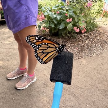 Chattahoochee Nature Center - Butterfly center - Botanical Gardens Near Me - Roswell, Georgia
