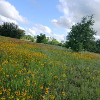 Alaska's place - Fields of flowers for the bees - Campgrounds Near Me - Graham, Texas Alaska's place - Fields of flowers for the bees - Campgrounds Near Me - Graham, Texas