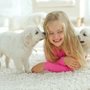 Photo of NewVibe Carpet Cleaning
