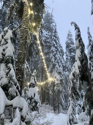 Cypress Mountain by null