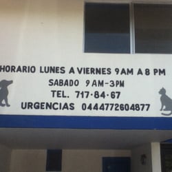 Aalak' Centro Veterinario. - Aalak' Centro Veterinario.