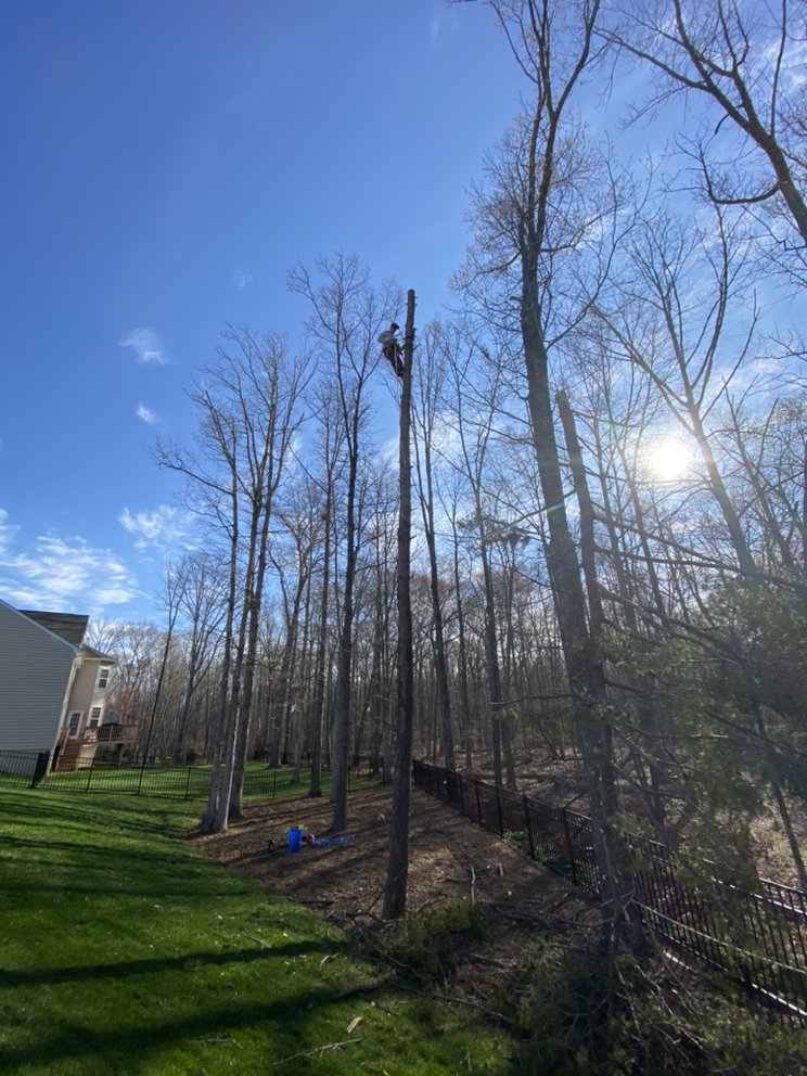Slide of Green Landscaping