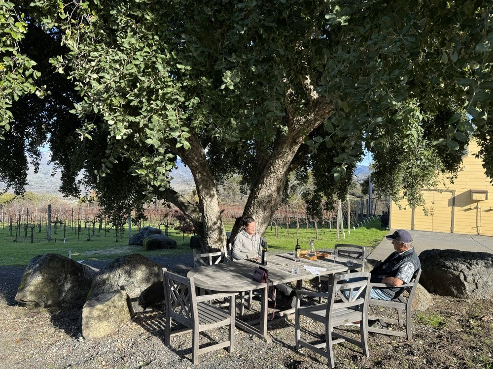 Alta Orsa Winery Logo