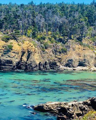 Salt Point State Park by null