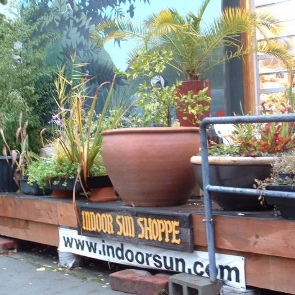 Indoor Sun Shoppe - Nurseries & Gardening Near Me - Seattle, Washington Indoor Sun Shoppe - Nurseries & Gardening Near Me - Seattle, Washington