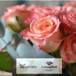Lansuplant Waterlandplein - Dagelijks verse rozen en snijbloemen bij Lansuplant Waterlandplein Amsterdam