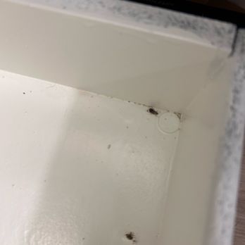 Parklane Commons - Finding roaches in cabinet drawers , I've stopped using them - Apartments Near Me - Chandler, Arizona Parklane Commons - Finding roaches in cabinet drawers , I've stopped using them - Apartments Near Me - Chandler, Arizona