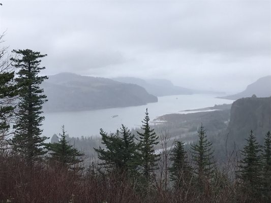 Portland Women's Forum State Scenic Viewpoint by null