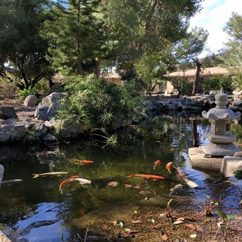 Deer Park Monastery - Buddhist Temples Near Me - Escondido, California Deer Park Monastery - Buddhist Temples Near Me - Escondido, California