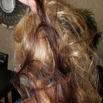 Bellus Academy - Fried beyond repair. - Cosmetology Schools Near Me - Poway, California Bellus Academy - Fried beyond repair. - Cosmetology Schools Near Me - Poway, California