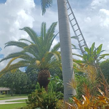 Lopez Tree Service - Tree Services Near Me - Stuart, Florida