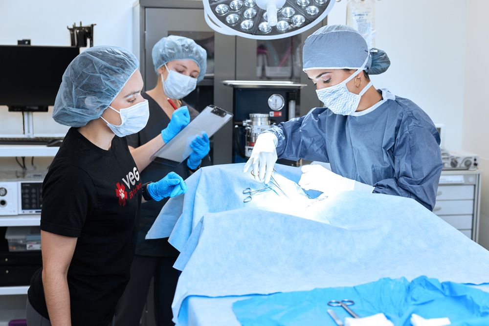 Veterinary Emergency Group Image
