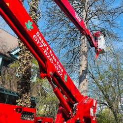 Sasa's Tree Care and Landscaping - We reach out high with our Spider Lift