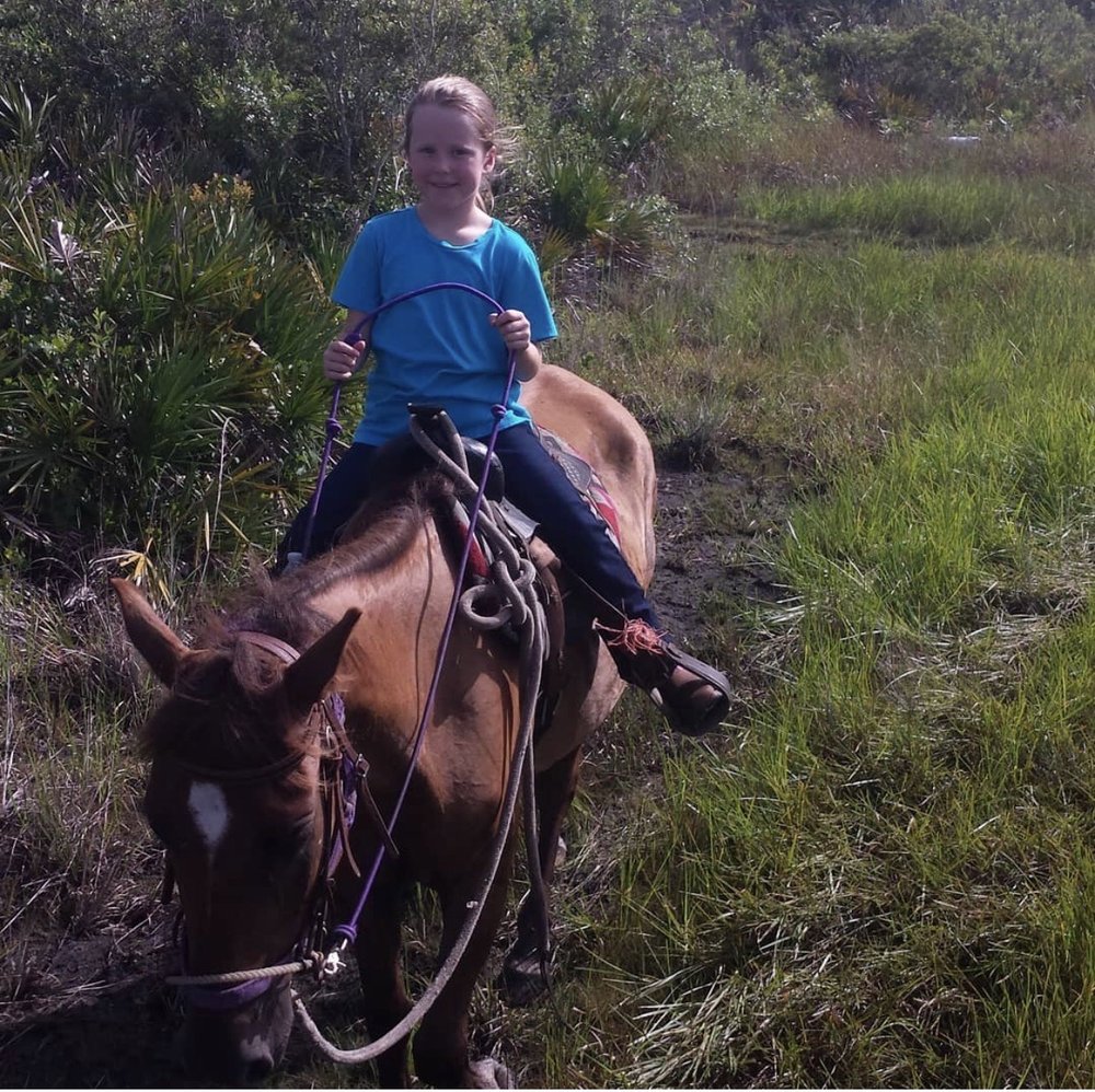 PALMDALE HORSE CLUB Updated October 2024 7339 N US Hwy 27, Palmdale