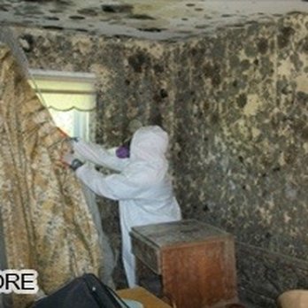 Empire Restoration Services - Before remediation - severe mold - Damage Restoration Near Me - Jackson, New Jersey