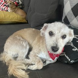 After Haircut After Haircut